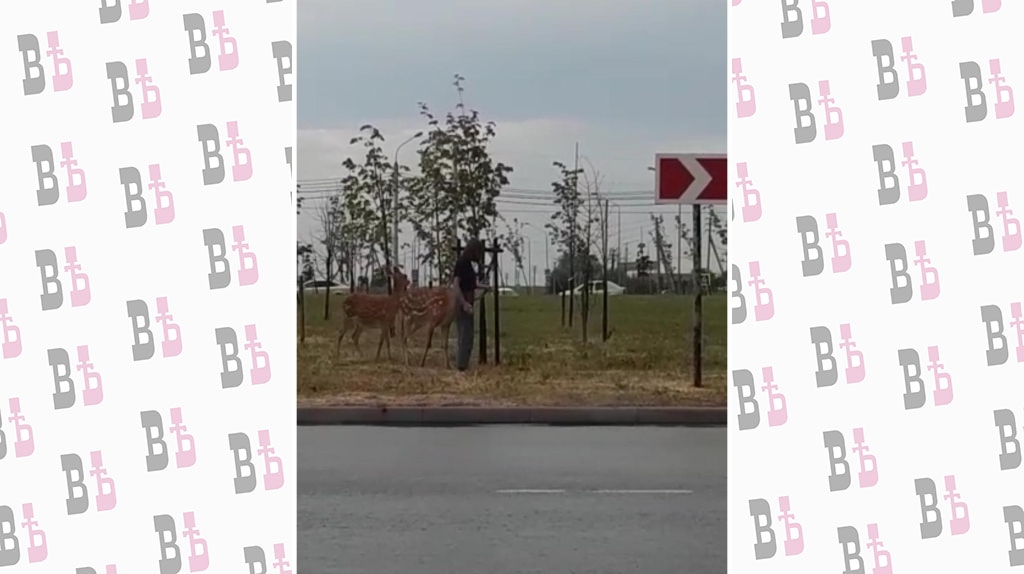 eedcddf6-037e-4b6b-8719-3ba576b1cec3.jpg eedcddf6-037e-4b6b-8719-3ba576b1cec3.jpg