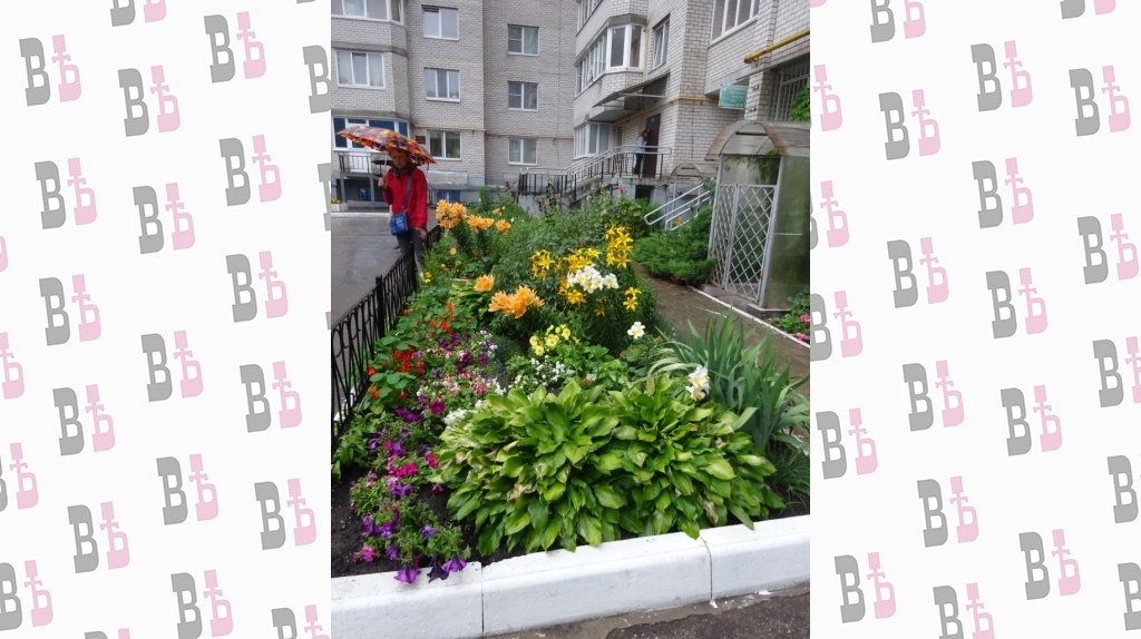 пухова 23а.jpg пухова 23а.jpg