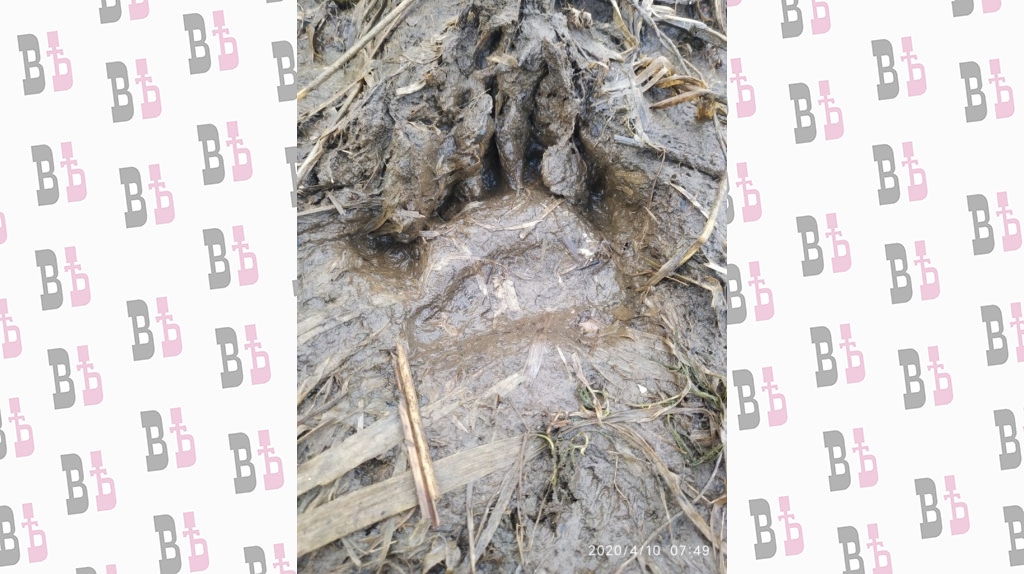 IMG-20200410-WA0000.jpg IMG-20200410-WA0000.jpg