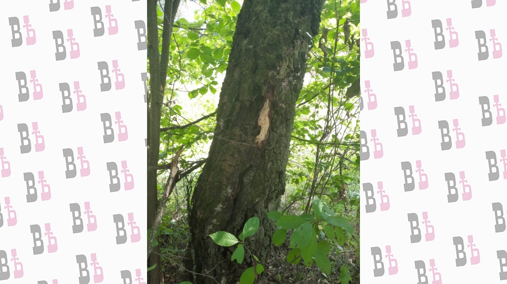 a2249a22-3f7b-467b-b27d-8277d05f6e3f.jpg a2249a22-3f7b-467b-b27d-8277d05f6e3f.jpg