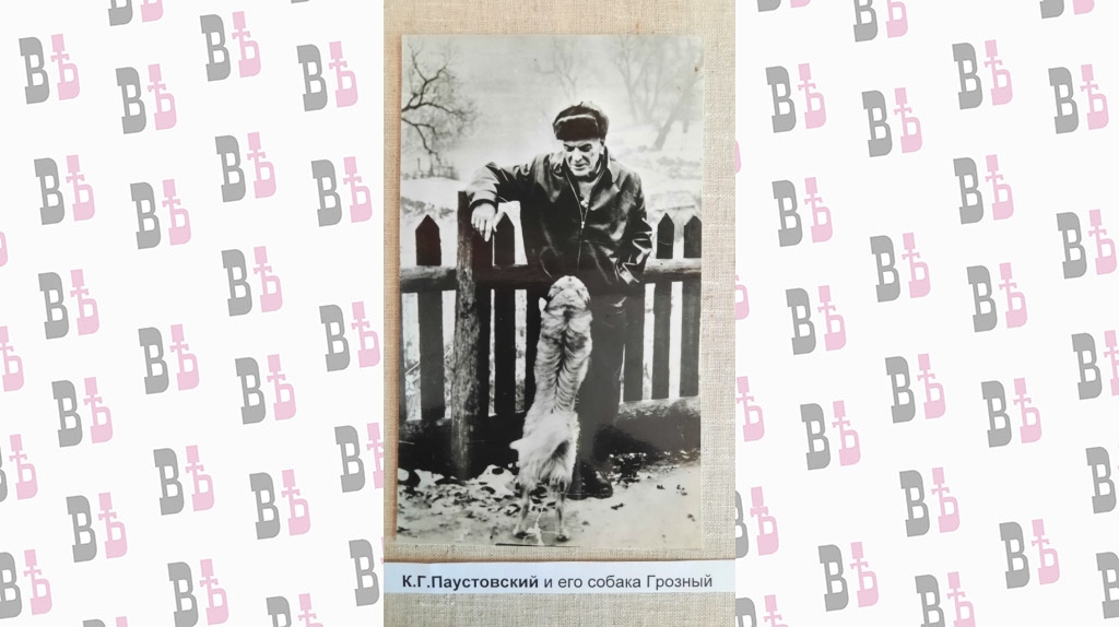 62f0a601-1216-42e1-be30-3acf5d1956b8.jpg 62f0a601-1216-42e1-be30-3acf5d1956b8.jpg