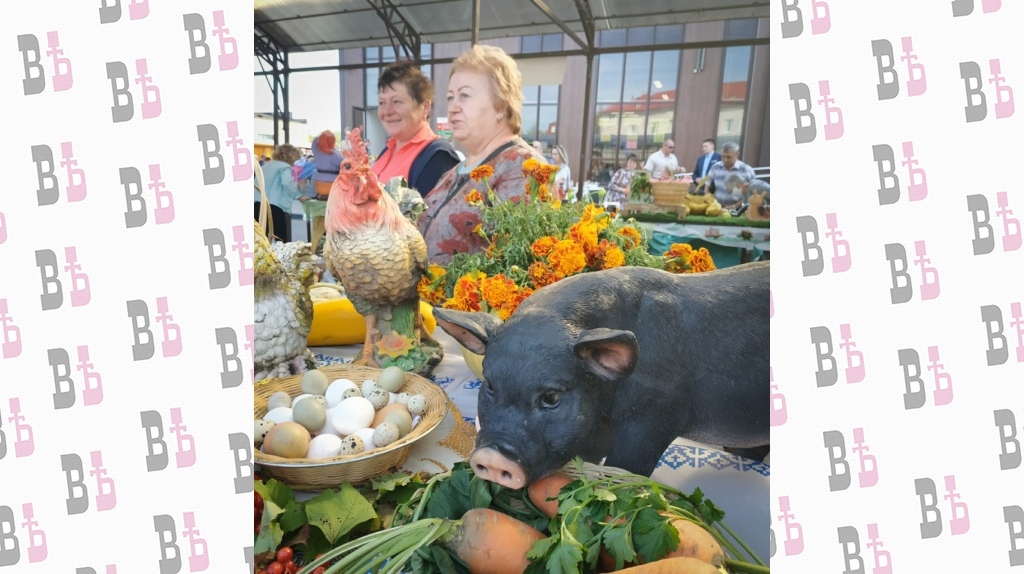 WhatsApp Image 2020-09-03 at 16.50.48.jpeg WhatsApp Image 2020-09-03 at 16.50.48.jpeg