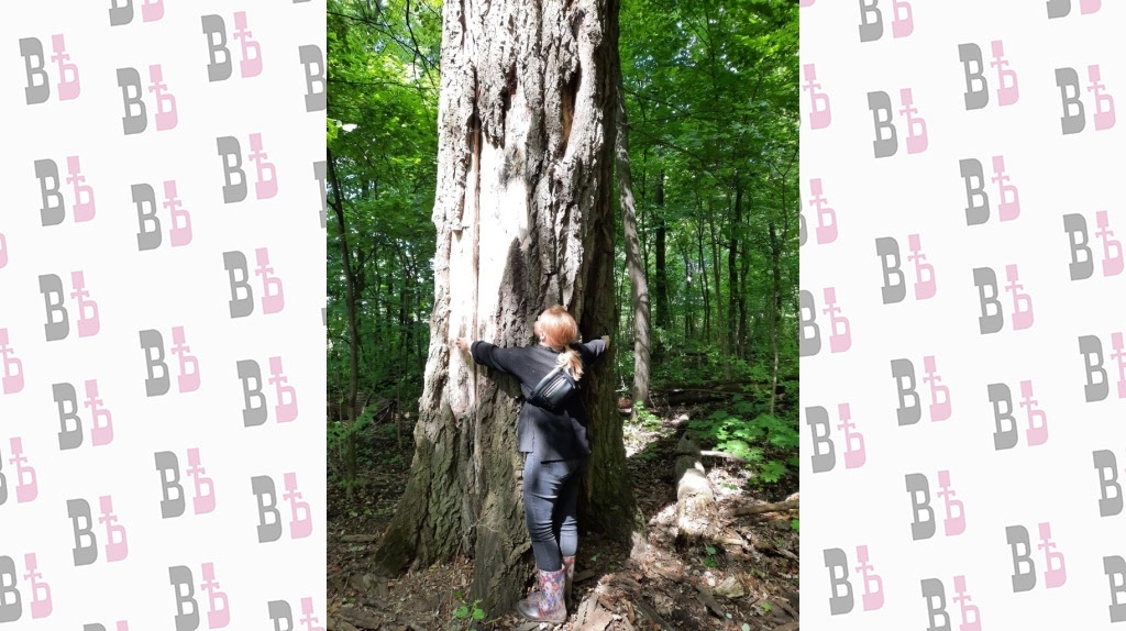 Тополь серебристый с Ильинском.jpg Тополь серебристый с Ильинском.jpg