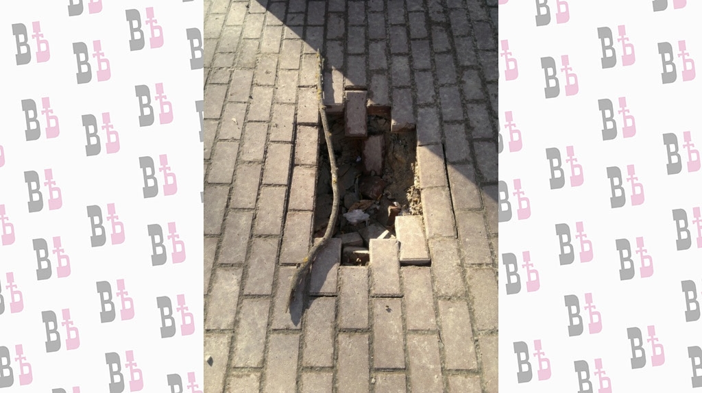 u2FPp8r8K_8.jpg u2FPp8r8K_8.jpg