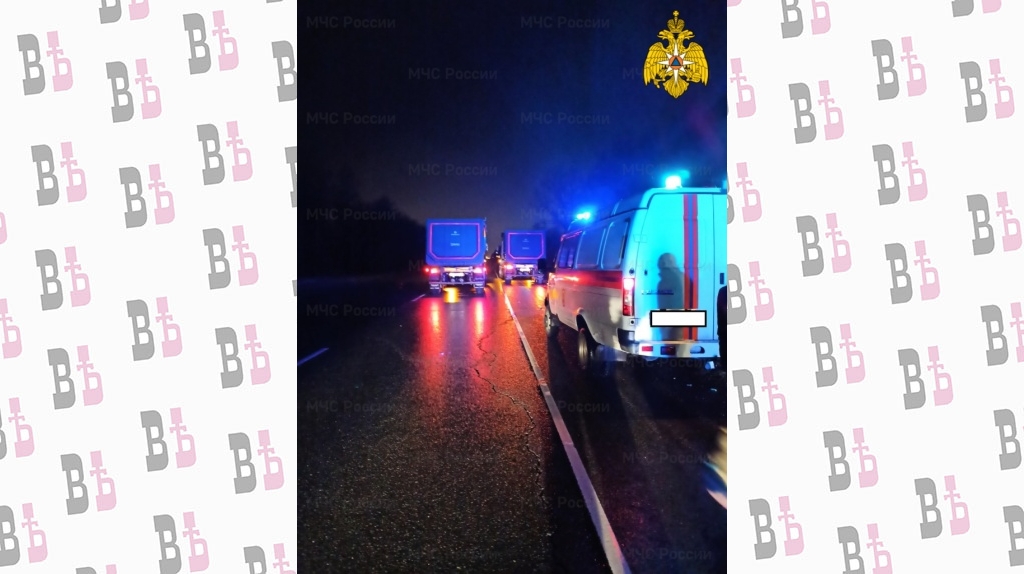 spasateli-mchs-prinimali-uchastie-v-likvidacii-dtp-v-zhukovskom-rayone-393-km-avtodorogi-a-108-mbk_16157809591609993352__2000x2000__watermark.jpg