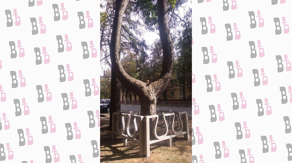 photo_2020-09-03_12-13-19.jpg photo_2020-09-03_12-13-19.jpg