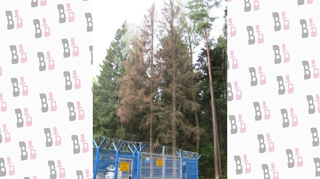 WhatsApp Image 2021-06-16 at 14.04.21.jpeg