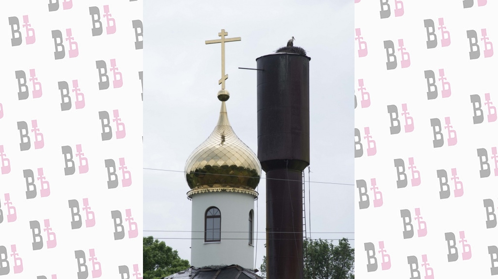 фото Кормильцева_26.jpg