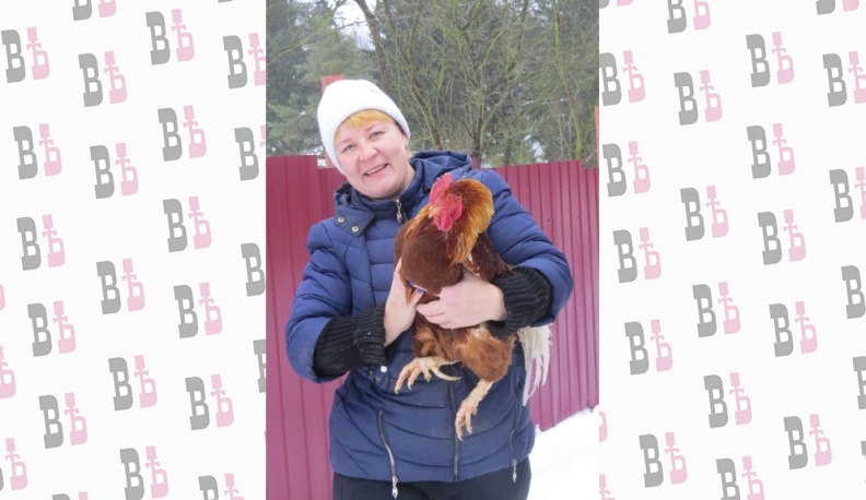 С личного подворья - продукты для здоровья