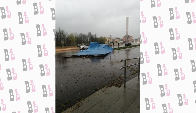 Шквалистый ветер повалил деревья и снес крыши в Людинове