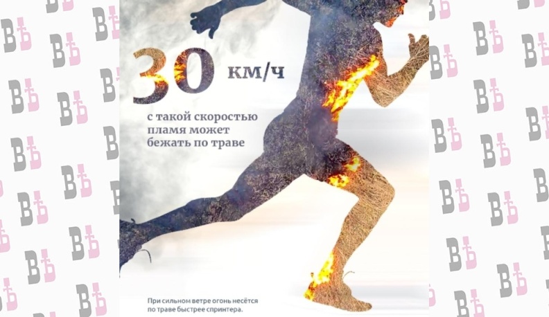 Пожароопасный сезон объявлен в Калужской области