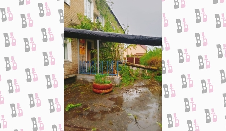 Шквалистый ветер повалил деревья и снес крыши в Людинове