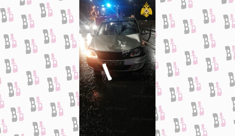 На автодороге под Калугой "Рено" сбил пешехода