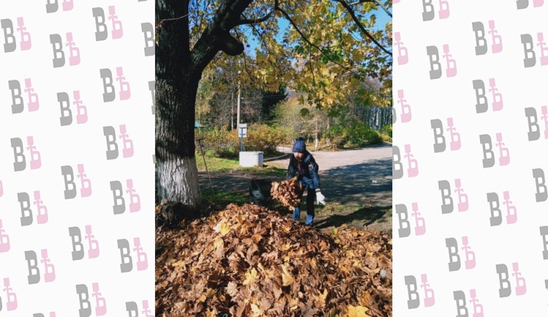 Молодёжь Кондрова организовала субботник в доме-интернате