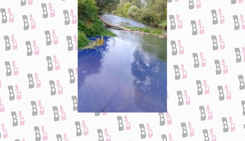 В Малоярославецком районе нашли причины «посинения» ручья