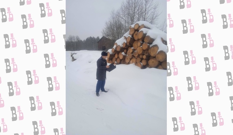 Житель Калужской области заплатит 3,5 миллиона рублей за незаконную рубку деревьев