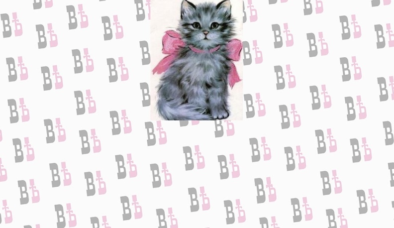 Продавая котенка, калужане лишились  денег