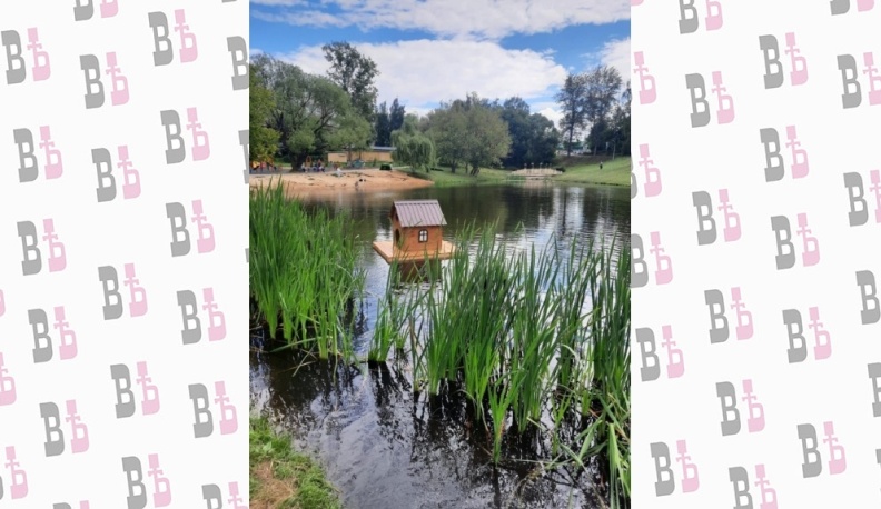 В Калуге на Пуховском пруду установили домик для уток