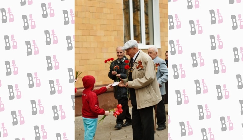В Калужской области осталось 206 ветеранов – участников Великой Отечественной войны