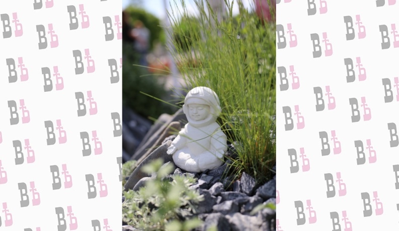 «Будущее в цветах»