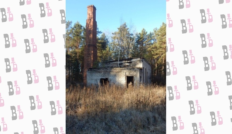 Прямой наводкой - в лес!