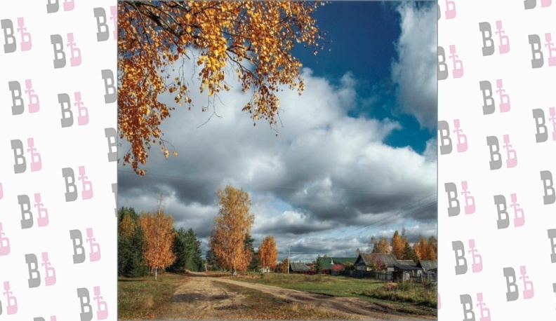 То ли есть там сеть, а то ли её нет…