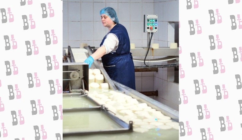 Дешёвый сыр бывает только в мышеловке