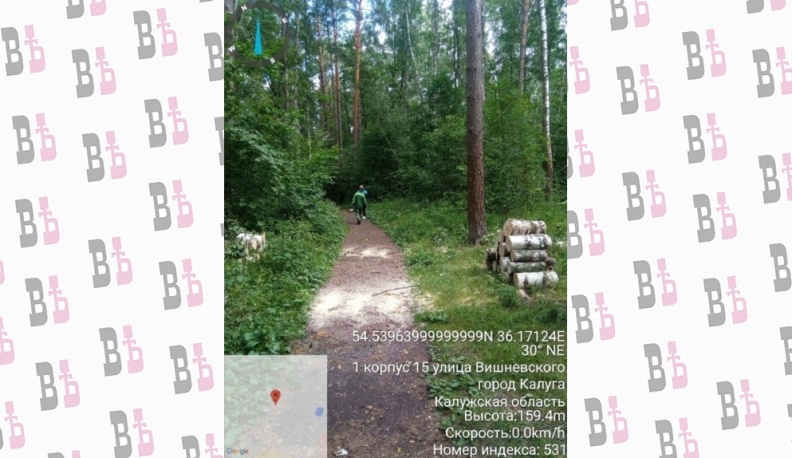 В калужском бору расчистили тропы от поваленных деревьев