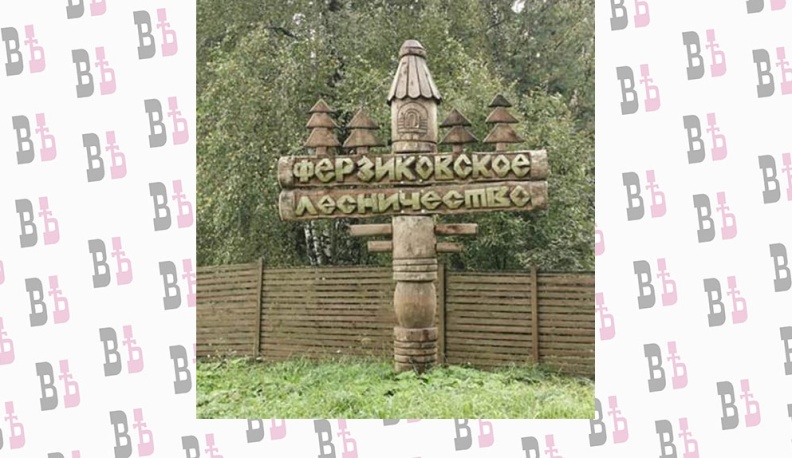 Ферзиковское лесничество стало самым ярким и узнаваемым