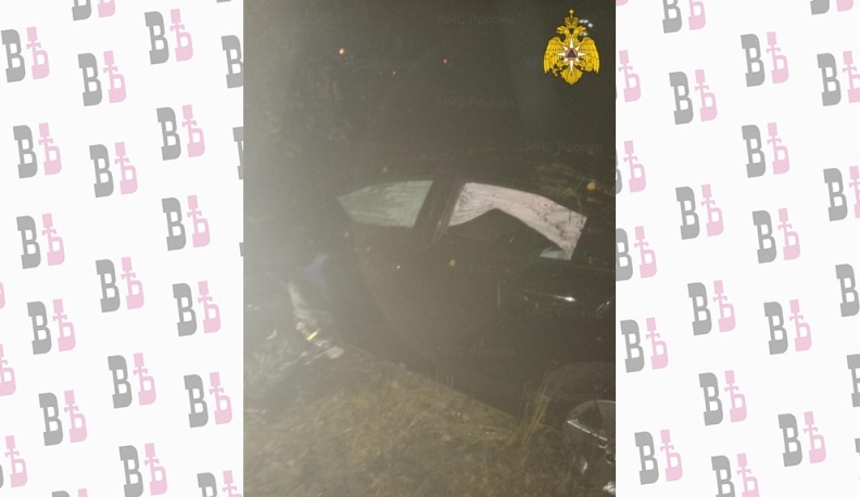 В Калужской области в перевернувшейся Хонде пострадали женщина и 4-летняя девочка