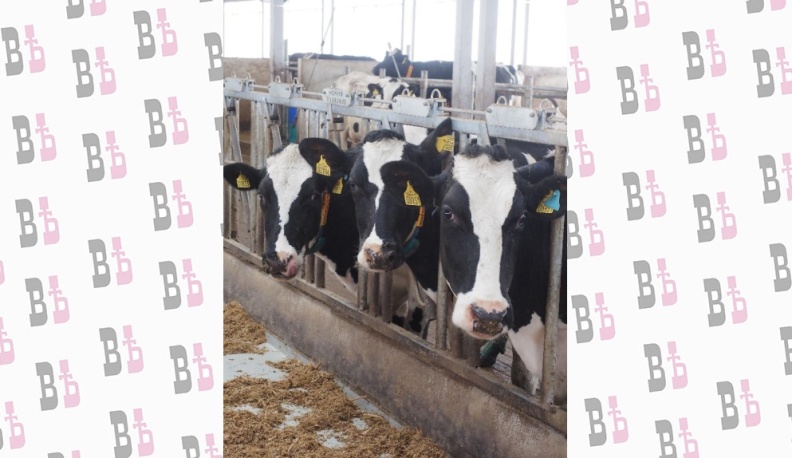 Достигнут  заветный рубеж