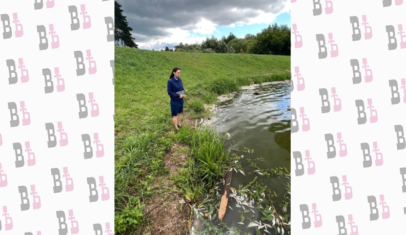 В Калужской области возбуждено уголовное дело по факту массовой гибели рыбы