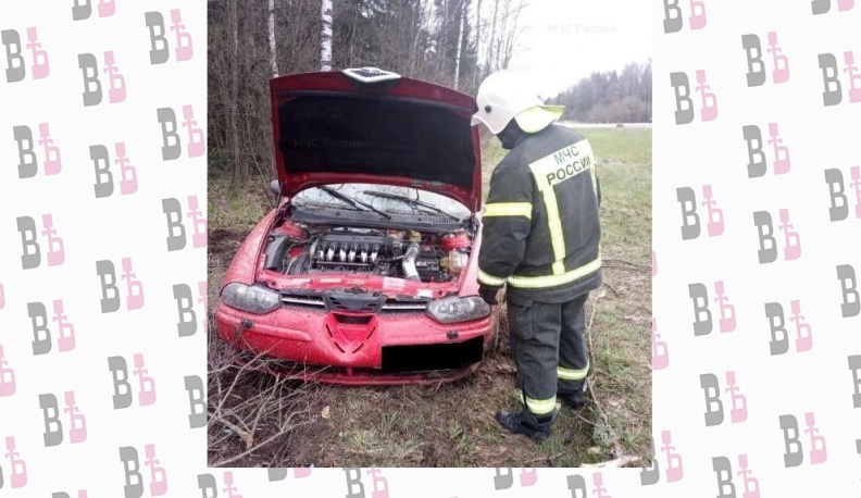 В Жуковском округе автомобиль врезался в дерево после вылета в кювет