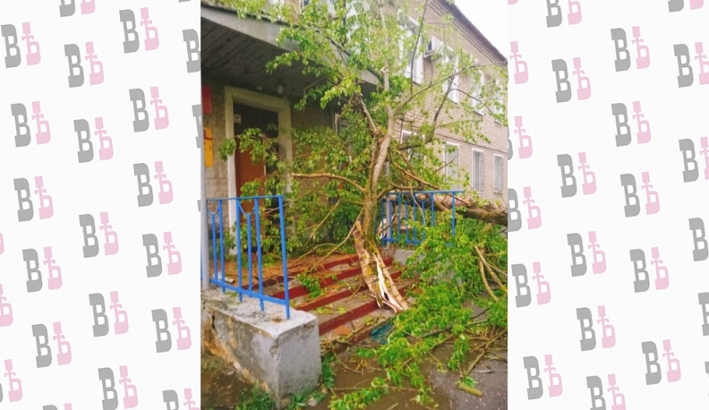 Шквалистый ветер повалил деревья и снес крыши в Людинове