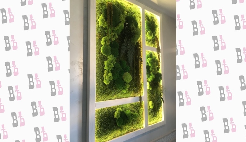 Всё мхом поросло