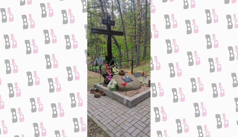 В поселке Боев у памятника ребята зажгли свечу памяти и  почтили минутой молчания павших.