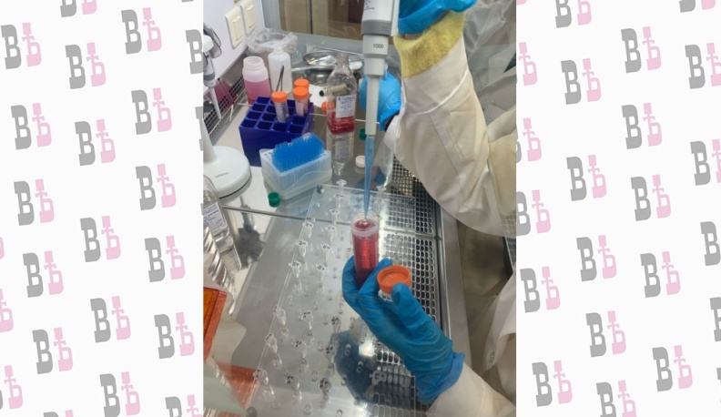 Студентка из Обнинска исследует противоопухолевые вещества