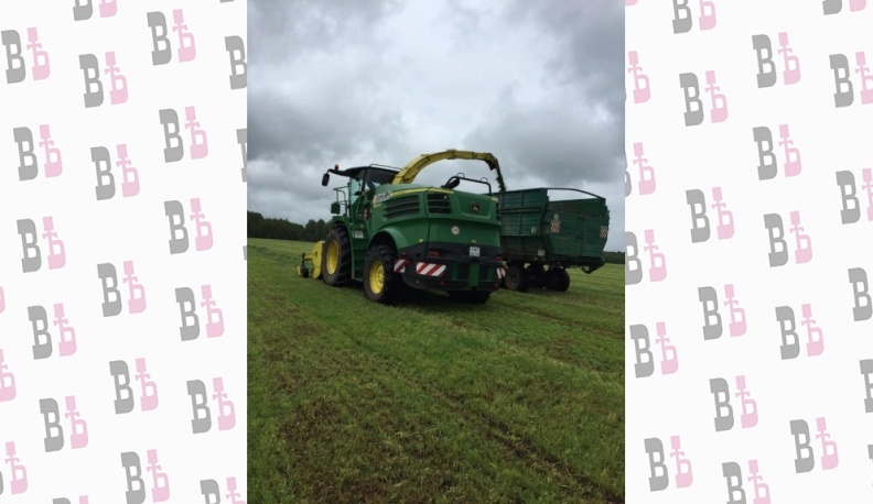 Куйбышевские бурёнки голодными не останутся 