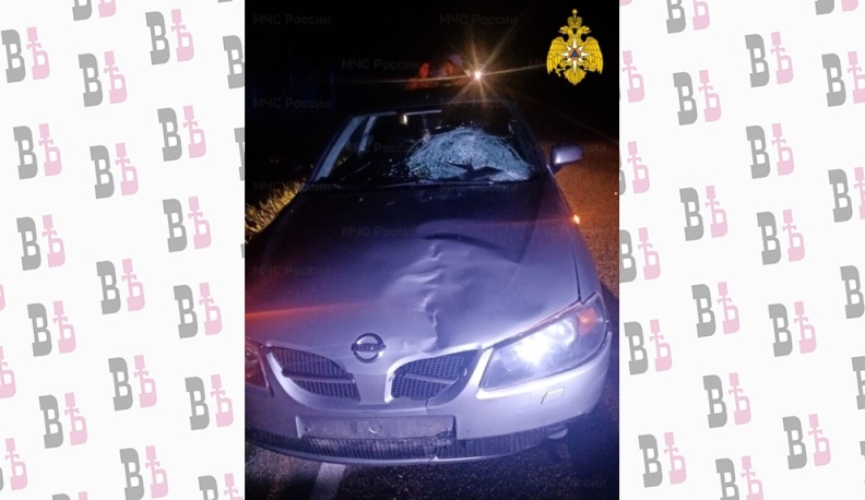 В Калужской области водитель "Ниссана" насмерть сбил пешехода