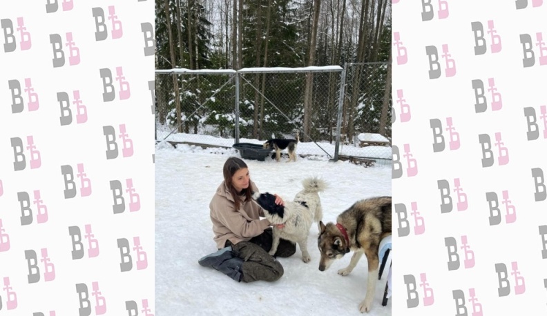 Дай лапу, друг!