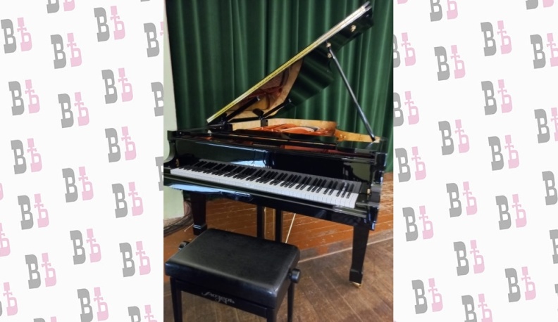 В калужском колледже культуры и искусств появились новые инструменты