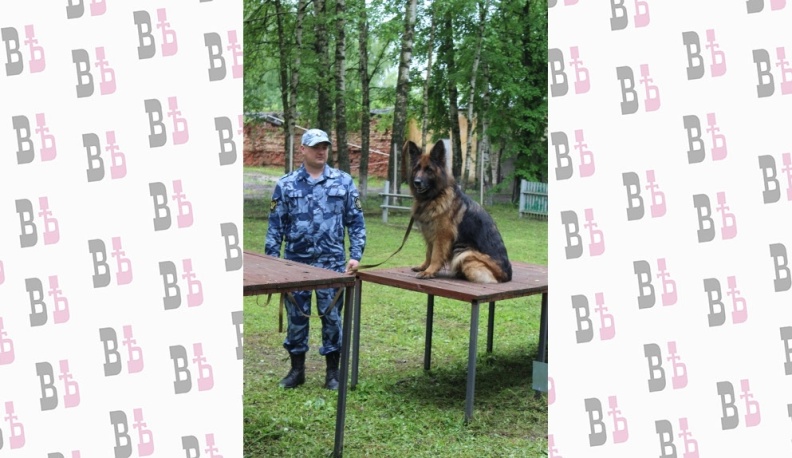 ЧЕЛОВЕК СОБАКЕ - ДРУГ, КОЛЛЕГА И НАСТАВНИК