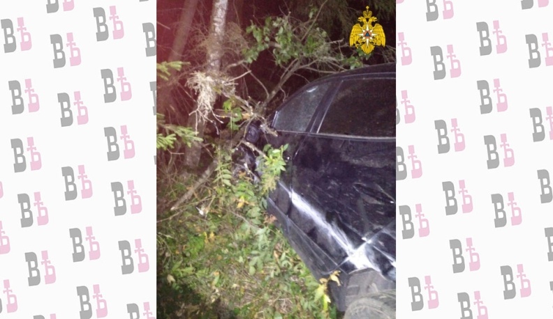 21-летний калужанин за рулем «Хендэ» врезался в дерево