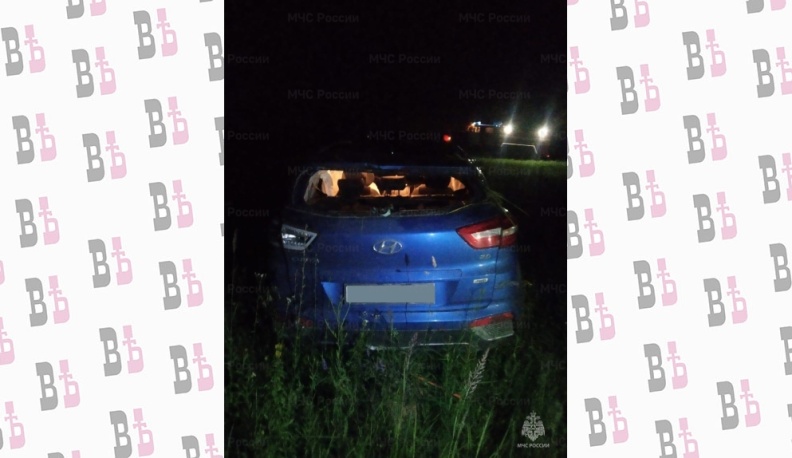 В Калужской области «Хендай» вылетел в кювет и перевернулся