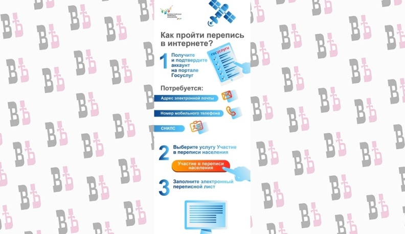 Борис Комисаренко: «Всероссийскую перепись населения впервые можно пройти онлайн, зарегистрировавшись на  портале госуслуг»