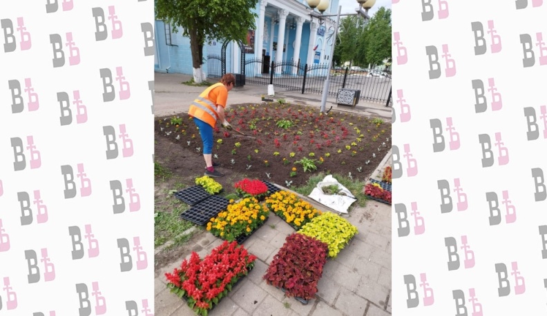 В этом году в Людинове посадят 23 тысячи цветов