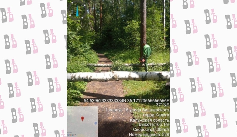 В калужском бору расчистили тропы от поваленных деревьев