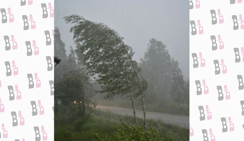 МЧС предупреждает калужан о сильном дожде, грозе и порывах ветра
