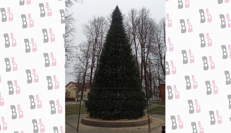 В Жукове планируют установить четыре новогодние ёлки