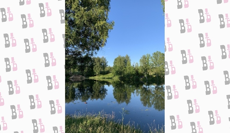 В Калужской области назвали самые грязные реки